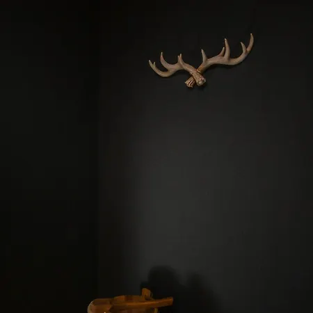 Eigene Sauna 2 Schlafzimmer Sehr Zentral Winterberghome Daire