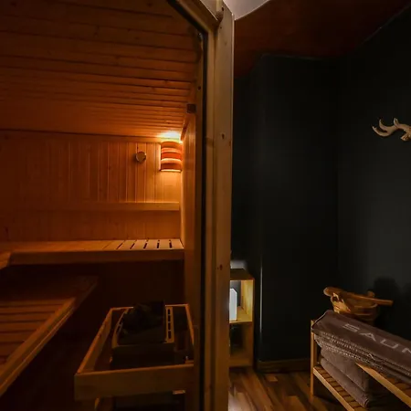 Eigene Sauna 2 Schlafzimmer Sehr Zentral Winterberghome Appartement Winterberg