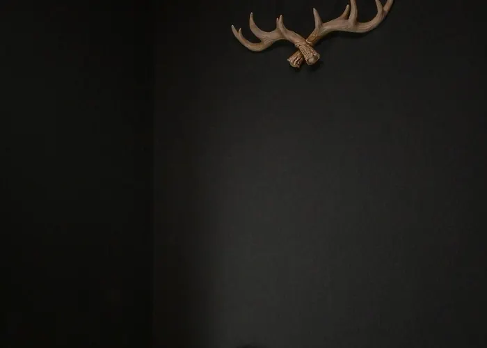 Eigene Sauna 2 Schlafzimmer Sehr Zentral Winterberghome Apartment