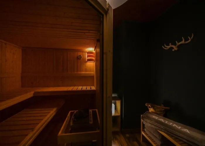 Apartment Eigene Sauna 2 Schlafzimmer Sehr Zentral Winterberghome *